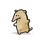 Cartoon Shrew N2