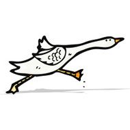 Cartoon Goose N12