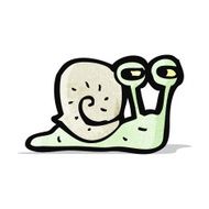 Cartoon Snail N42