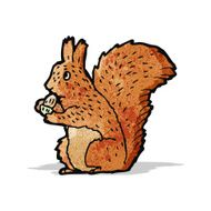Cartoon Squirrel N22