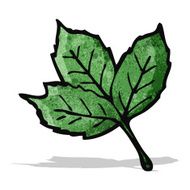 leaf illustration