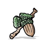 cartoon acorn N8