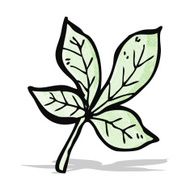 leaf illustration N2
