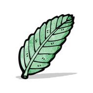 Cartoon Leaf N36