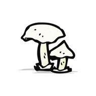 Cartoon Mushrooms N14