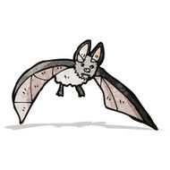vampire bat illustration