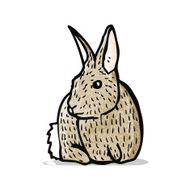 rabbit illustration