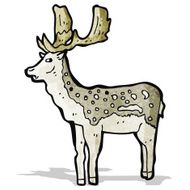 stag illustration