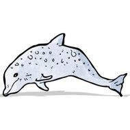 dolphin illustration