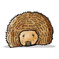 Cartoon Hedgehog N14