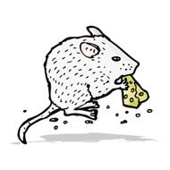 mouse and cheese illustration