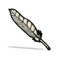 feather illustration N2
