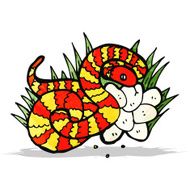 snake on nest of eggs