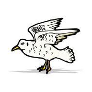 Seagull Illustration N3