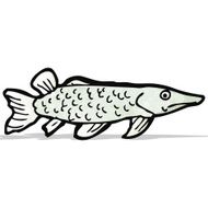 Fish Illustration N5