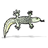 Cartoon Newt N3
