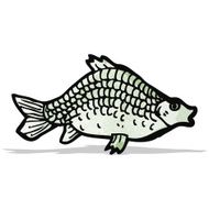 Fish Illustration N6