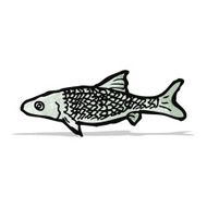 Fish Illustration N7