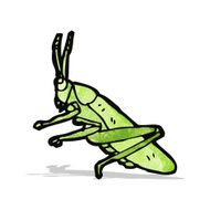 Grasshopper Cartoon N2