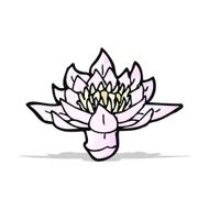 waterlily cartoon