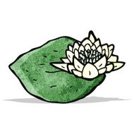 waterlily cartoon N2