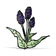 wild flowers cartoon N5