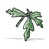 leaf illustration N3
