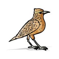 garden bird illustration N2