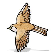 garden bird illustration N3