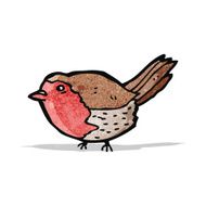 cartoon robin N21