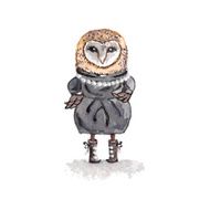 Cartoon owl concept design Bird are isolated on white background N2