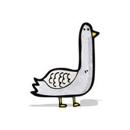 Cartoon Pigeon N8