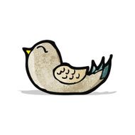 Cartoon Bird N67