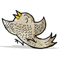 Cartoon Bird N70