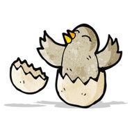 Cartoon Bird N72