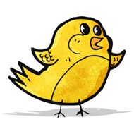 Cartoon Bird N75