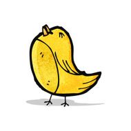 Cartoon Bird N76