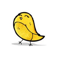 Cartoon Bird N78