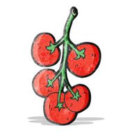 Cartoon Tomato N12