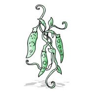 peas cartoon