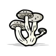 cartoon mushroom N13