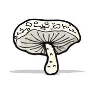 cartoon mushroom N14