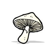 cartoon mushroom N16