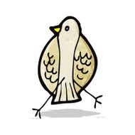 Cartoon Bird N80
