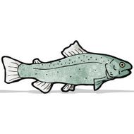 Fish Illustration N8