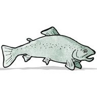 Fish Illustration N12