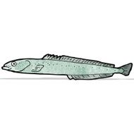Fish Illustration N13