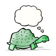 Cartoon Tortoise N13