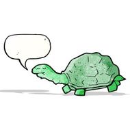 Cartoon Tortoise N14