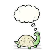 Cartoon Tortoise N15
